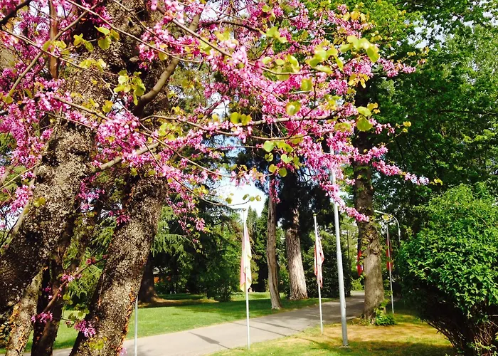 Hotel Terme Salvarola Sassuolo