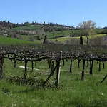 Terme Salvarola 4*