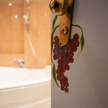 Hotel Terme Salvarola