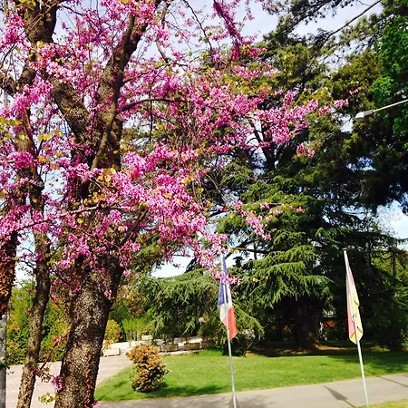 Hotel Terme Salvarola