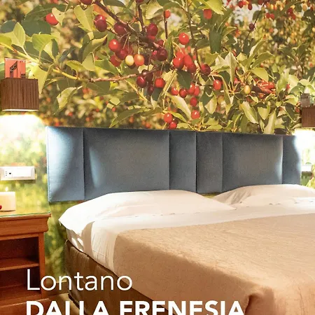 Hotell Terme Salvarola 4*