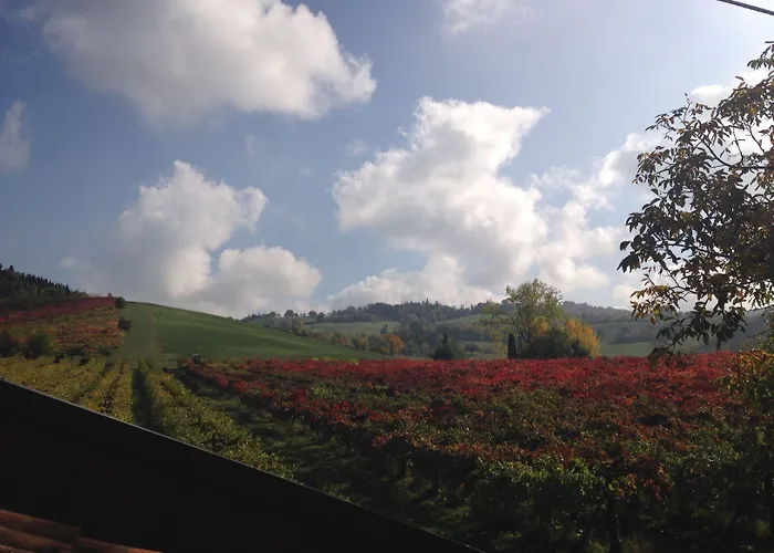 Terme Salvarola 4* Sassuolo